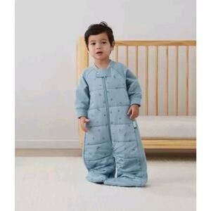 Sleep Suit Sack 3.5 TOG Dragonflies Dragonflies 2-4Y
